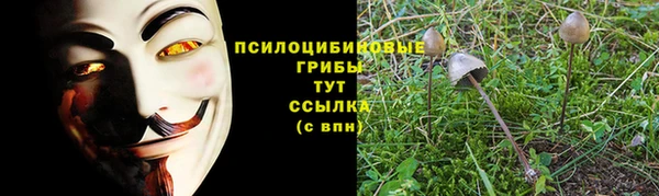 крисы Михайлов