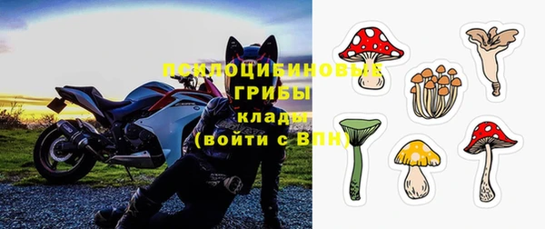 крисы Михайлов