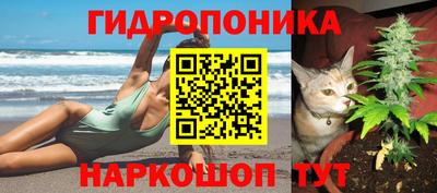 ECSTASY Свободный