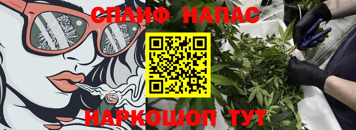 Конопля ГИДРОПОН  Марихуана гибрид  МАРИХУАНА AK-47  Черногорск 